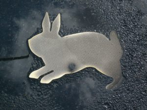 Bild von Karla Sachse aus dem "Kaninchenfeld" auf der Berliner Chausseestraße