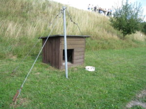 Hundelaufanlage an der Grenze